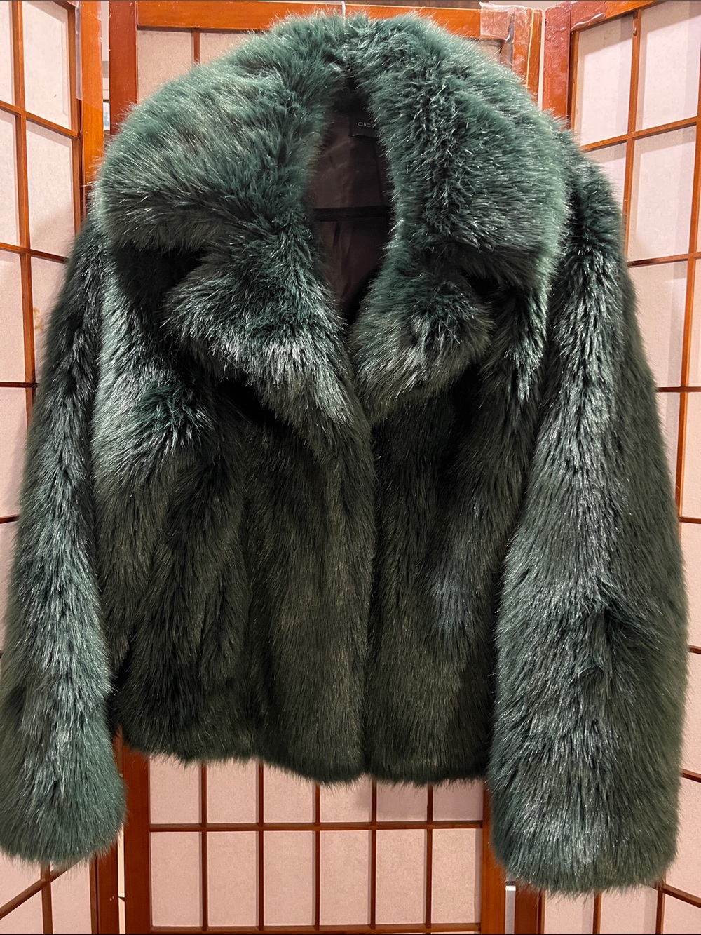 Forest Green Faux Fur Teddy Jacket - Women’s Plush Coat
